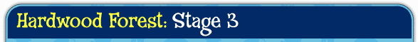 Stage01