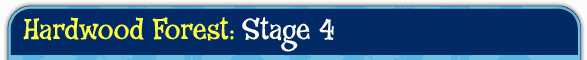 Stage01
