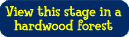 View Stage in Hardwood Forests