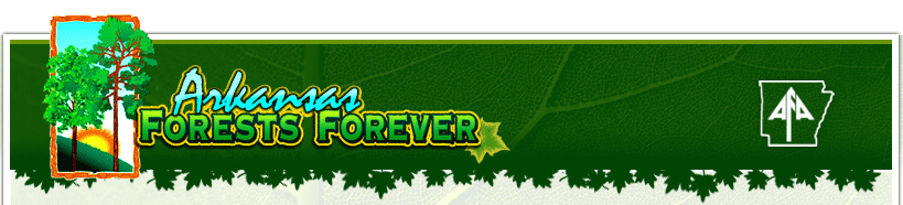 Forests Forever