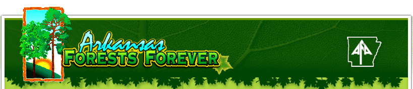 Forests Forever