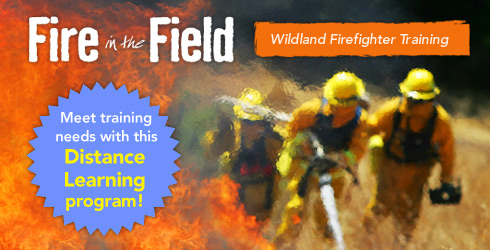 Fire in the Field