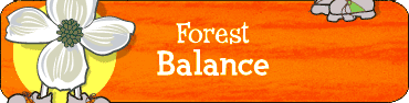 Balance