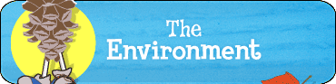 The Environment