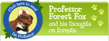 Click here to meet the Professor