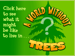 A World Without Trees