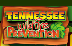 Tennessee Wildfire Prevention
