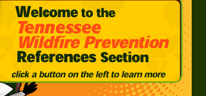 Welcome to Tennessee Wildfire Prevention